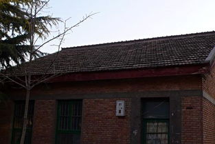 羊训楼顺利通过竣工验收，农场住宅区升级迈入新阶段